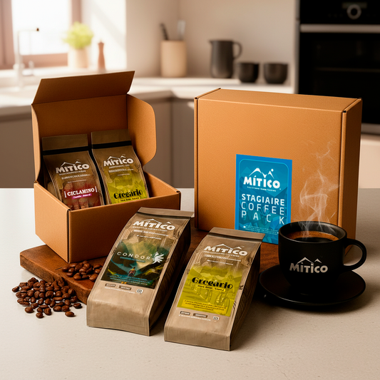 Stagiaire Coffee Pack (2 x 250gr)
